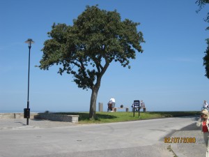 img_004411