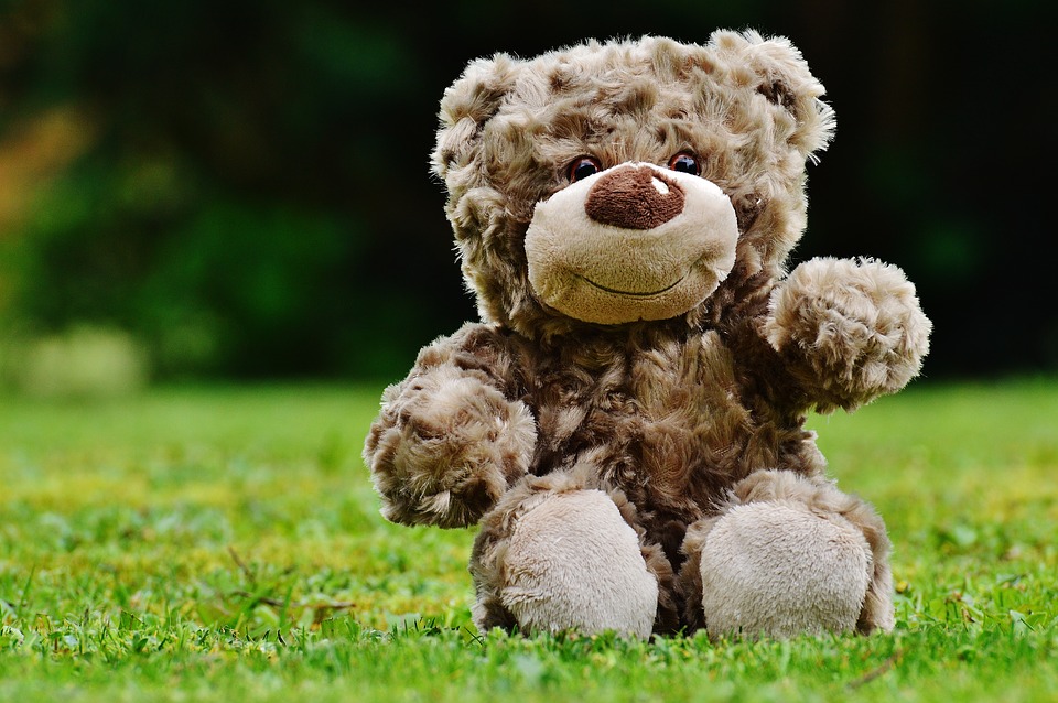 teddybjorn teddybjorn