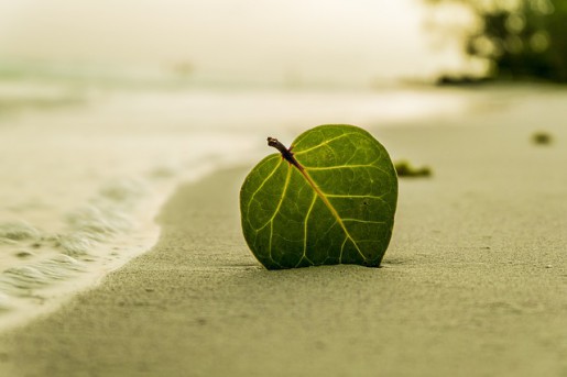 beach-394503_640 beach-394503_640
