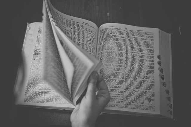 dictionary-698538_640 dictionary-698538_640